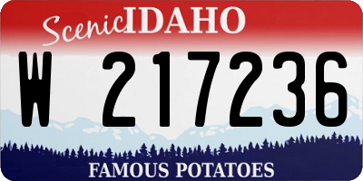 ID license plate W217236