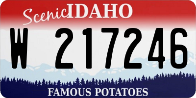 ID license plate W217246