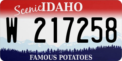 ID license plate W217258