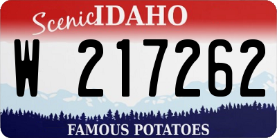 ID license plate W217262