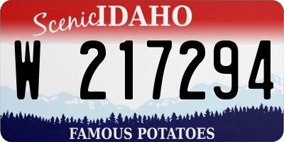 ID license plate W217294