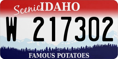 ID license plate W217302