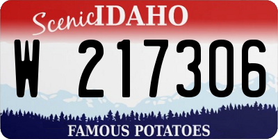 ID license plate W217306