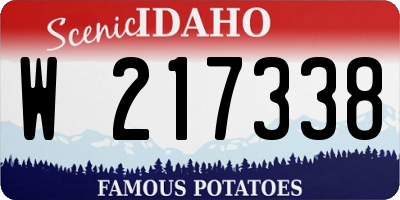 ID license plate W217338