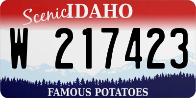 ID license plate W217423