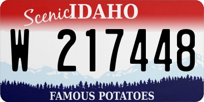 ID license plate W217448