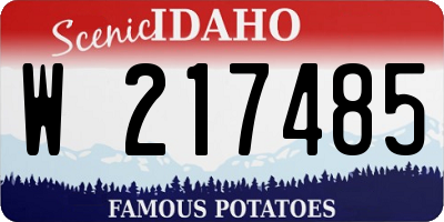 ID license plate W217485