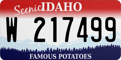 ID license plate W217499