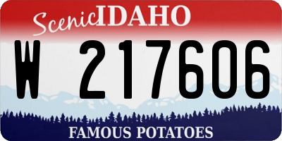 ID license plate W217606