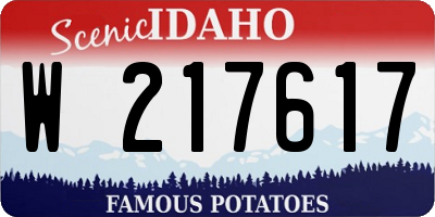 ID license plate W217617