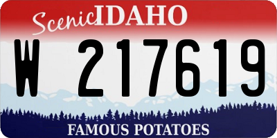 ID license plate W217619