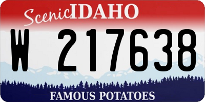ID license plate W217638