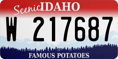 ID license plate W217687