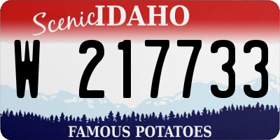 ID license plate W217733