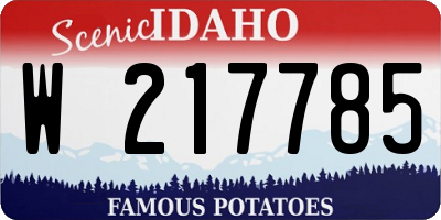 ID license plate W217785