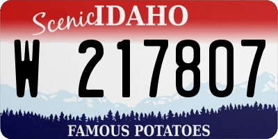 ID license plate W217807