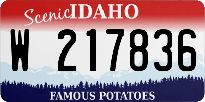ID license plate W217836