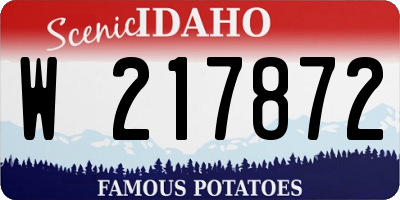 ID license plate W217872