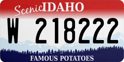 ID license plate W218222