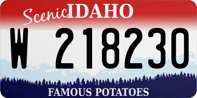 ID license plate W218230