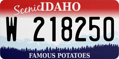 ID license plate W218250