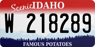 ID license plate W218289