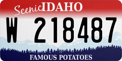 ID license plate W218487