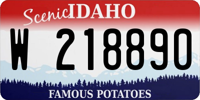ID license plate W218890