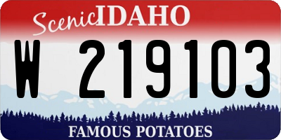 ID license plate W219103