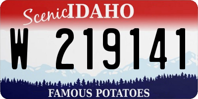 ID license plate W219141
