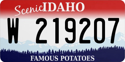 ID license plate W219207