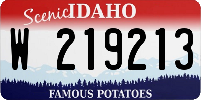 ID license plate W219213