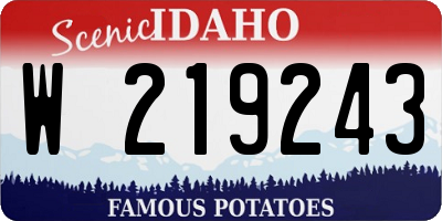 ID license plate W219243