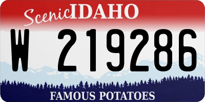 ID license plate W219286