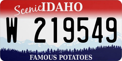 ID license plate W219549
