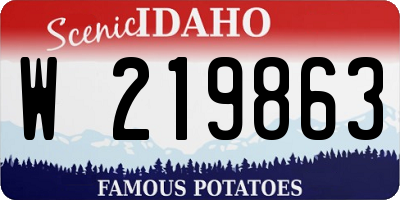 ID license plate W219863