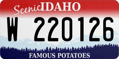 ID license plate W220126