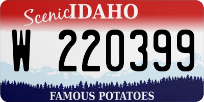 ID license plate W220399