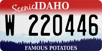 ID license plate W220446