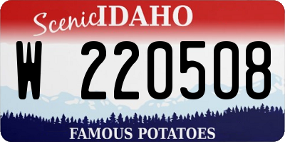 ID license plate W220508