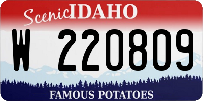 ID license plate W220809