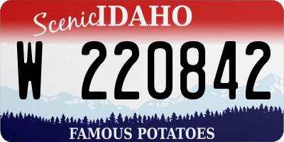 ID license plate W220842