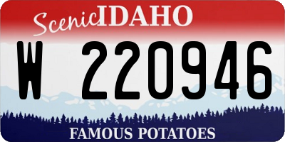 ID license plate W220946