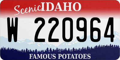 ID license plate W220964