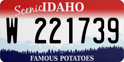 ID license plate W221739