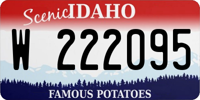 ID license plate W222095