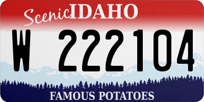 ID license plate W222104