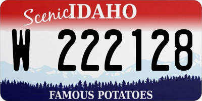 ID license plate W222128