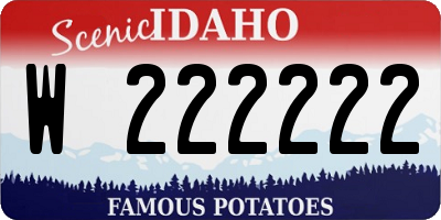 ID license plate W222222