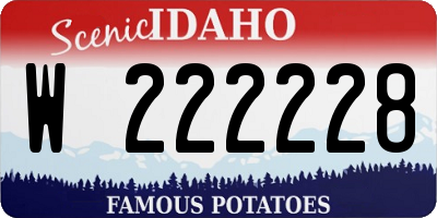 ID license plate W222228
